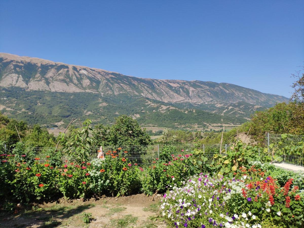 Stone House Villa Kelcyre Dış mekan fotoğraf