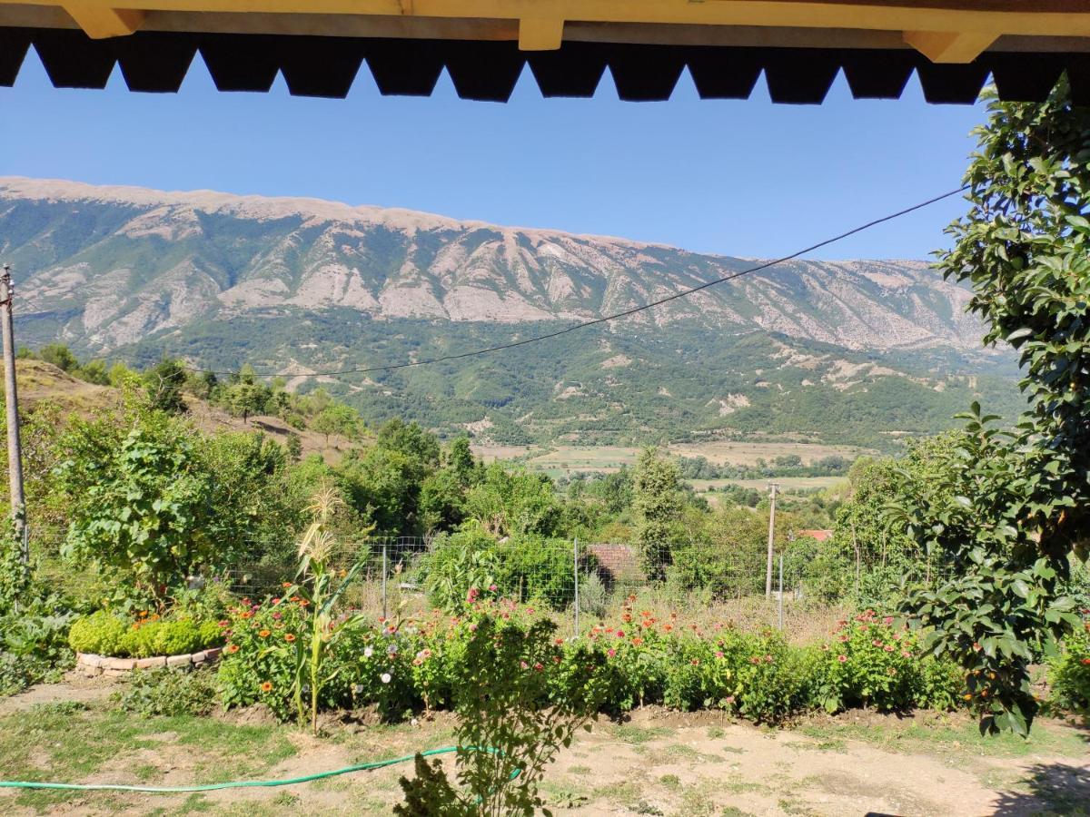 Stone House Villa Kelcyre Dış mekan fotoğraf