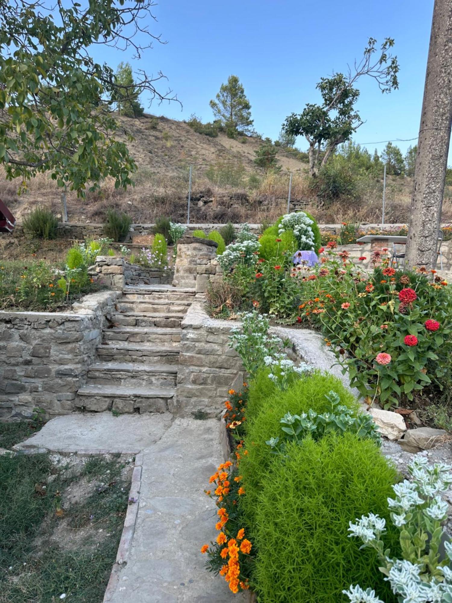 Stone House Villa Kelcyre Dış mekan fotoğraf
