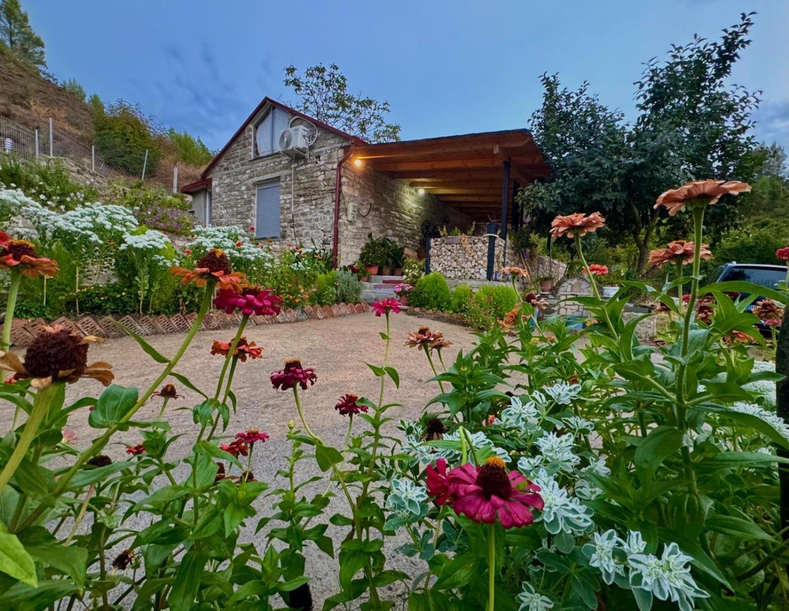 Stone House Villa Kelcyre Dış mekan fotoğraf