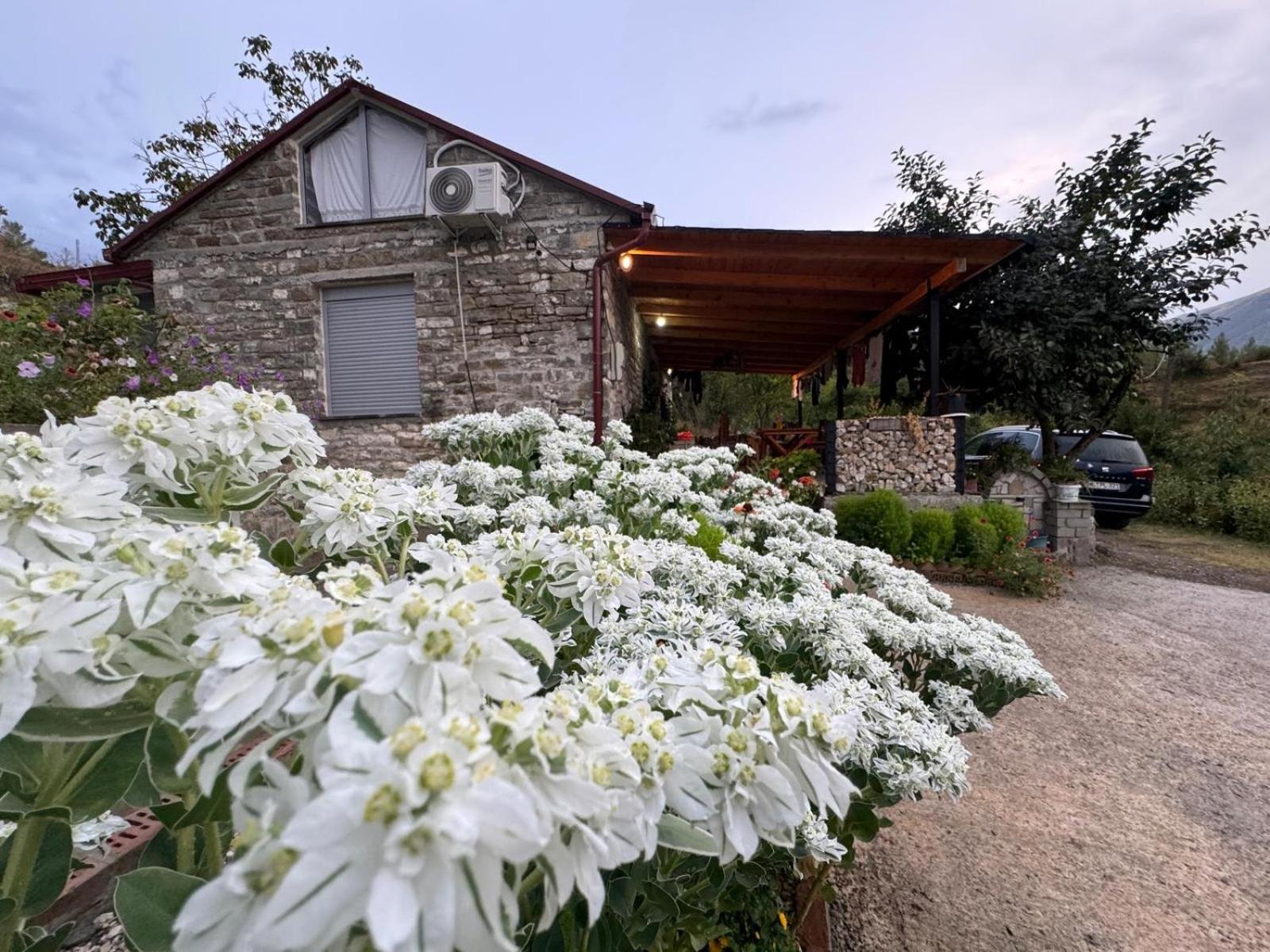 Stone House Villa Kelcyre Dış mekan fotoğraf