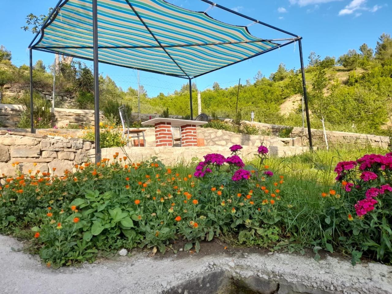 Stone House Villa Kelcyre Dış mekan fotoğraf